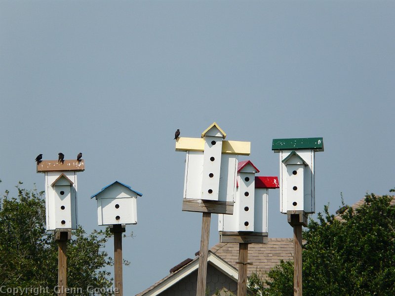 North Carolina 282